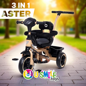 Made in India Tricycle | Fun Ride Aster 3 in 1 - Musical Trike for Kid