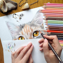 Skin Tone Colored Pencils -  24 Colors Oil Colour Pencils for Drawing