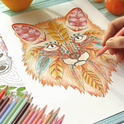 Skin Tone Colored Pencils -  24 Colors Oil Colour Pencils for Drawing